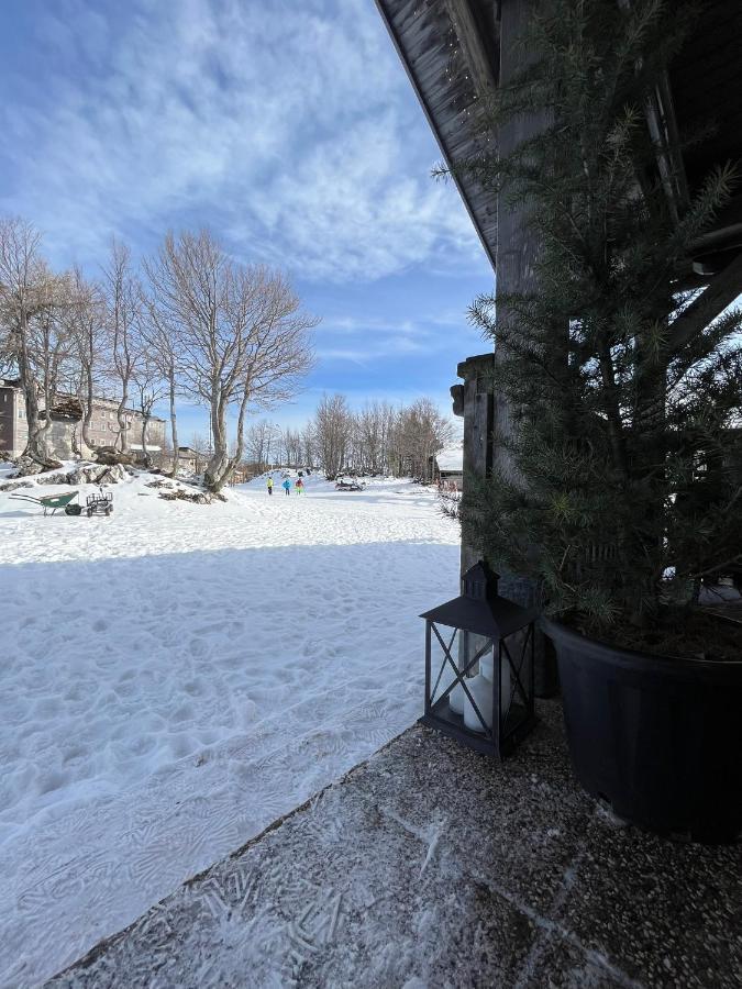 Chalet Burja At Vogel Mountain - Cable Car Access Or Hiking - Not Reachable With Car Bohinj ภายนอก รูปภาพ