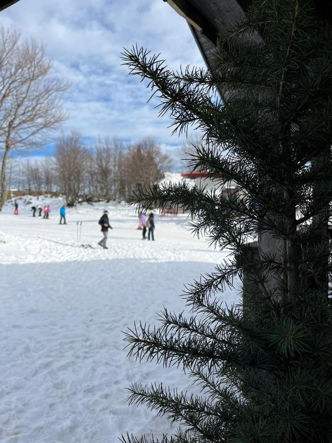 Chalet Burja At Vogel Mountain - Cable Car Access Or Hiking - Not Reachable With Car Bohinj ภายนอก รูปภาพ