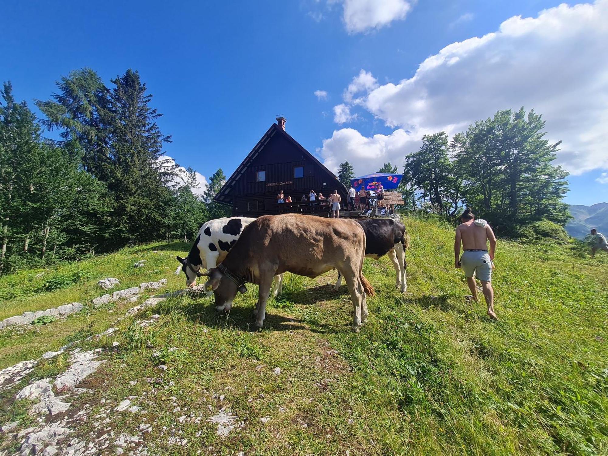Chalet Burja At Vogel Mountain - Cable Car Access Or Hiking - Not Reachable With Car Bohinj ภายนอก รูปภาพ